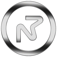 NP logo holographic 2